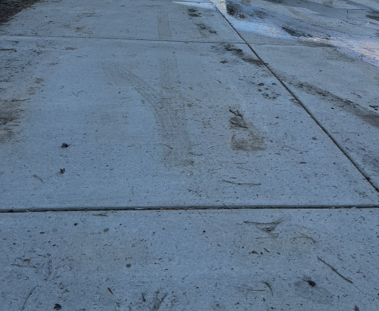 Dirty driveway before cleaning